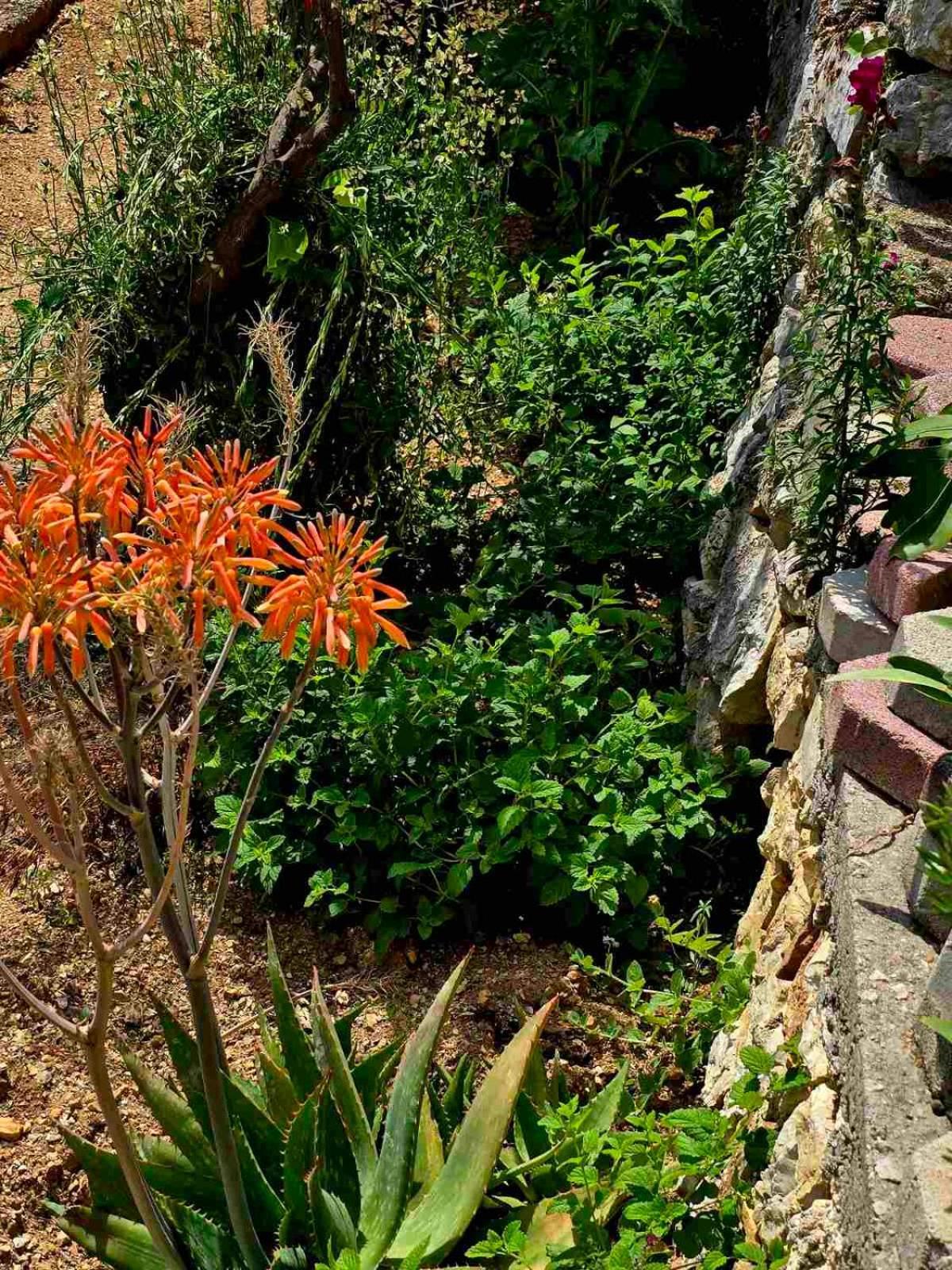 Philoxenia Guest House Himare Exterior foto